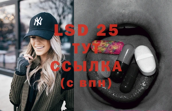 молекула духа Лабытнанги