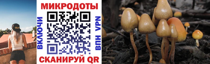 Галлюциногенные грибы ЛСД  Отрадная 