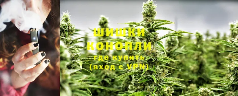 купить закладку  Отрадная  МАРИХУАНА THC 21% 